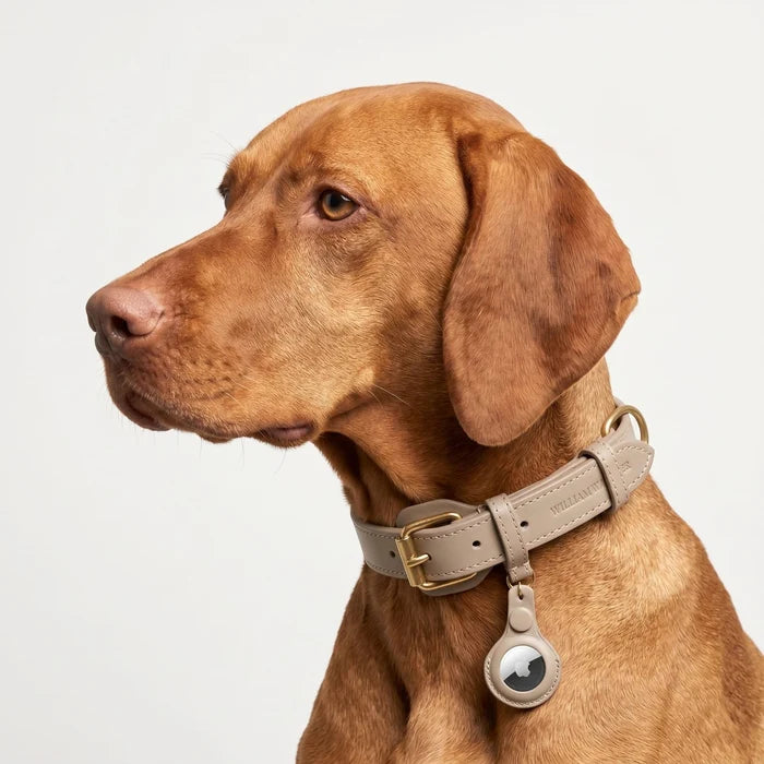 Porte-clés en cuir pour AirTag - Collier pour chien & Accessoire