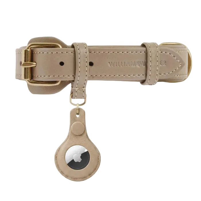 Porte-clés en cuir pour AirTag - Collier pour chien & Accessoire