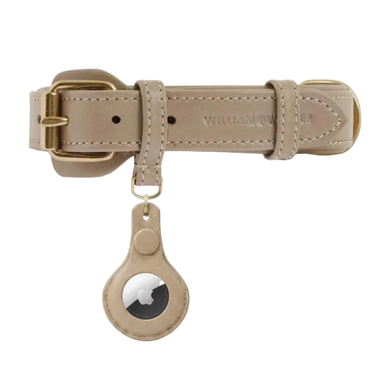 Porte-clés en cuir pour AirTag - Collier pour chien & Accessoire